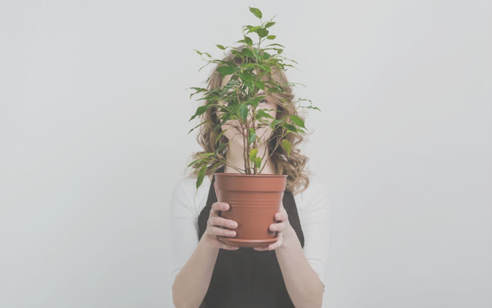 Zetabaseova Systems çiçek kompozisyon çalışması örneği