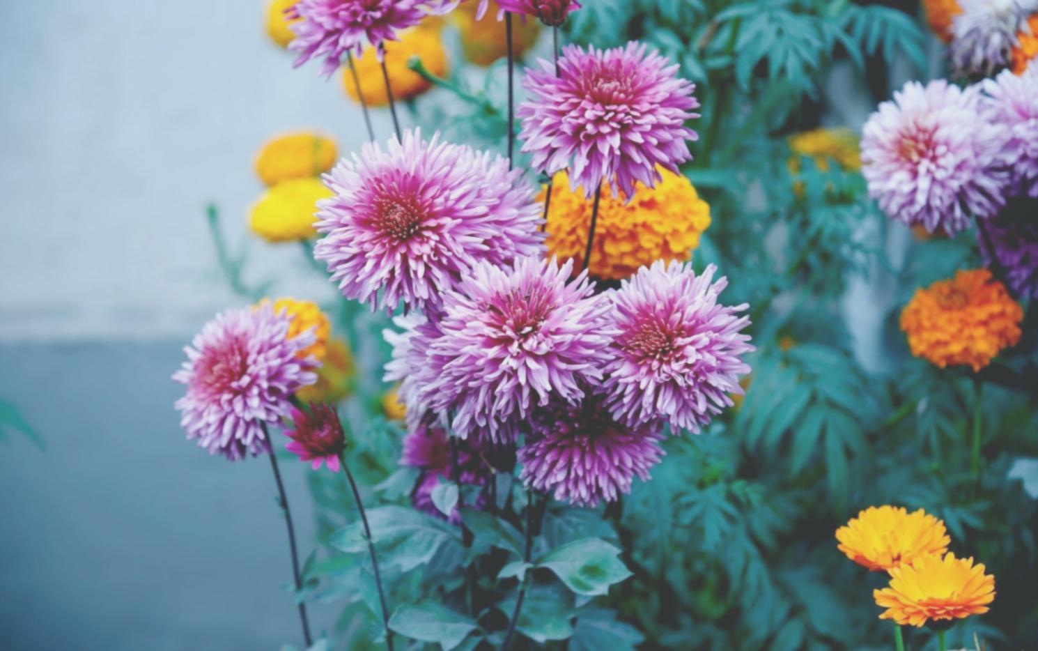 Sezonluk çiçek düzenleme atölyesinde grup çalışması yapan katılımcılar